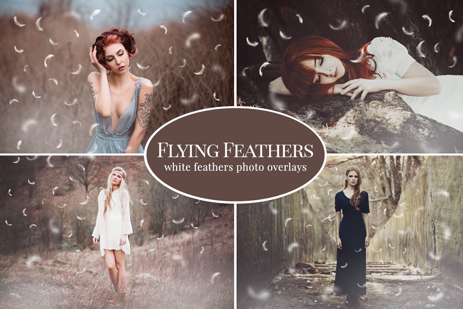 Feather Photo Overlays