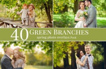 Green Branches Spring Photo Overlays