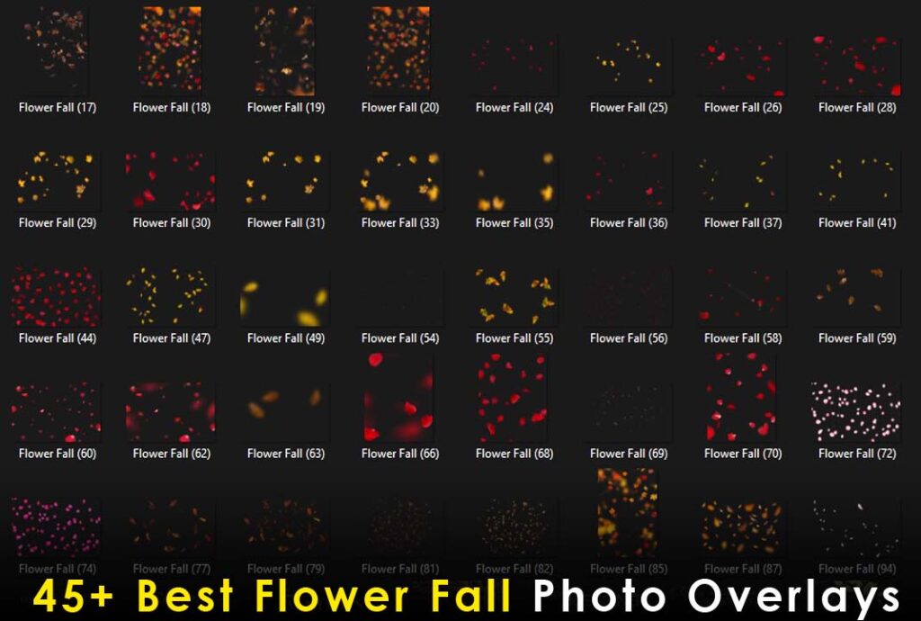 45+ Best Flower Fall Photo Overlays