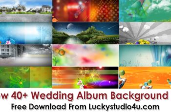 New 40+ Wedding Album Background HD