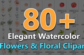 80+ Elegant Watercolor Flowers & Floral Cliparts Pack