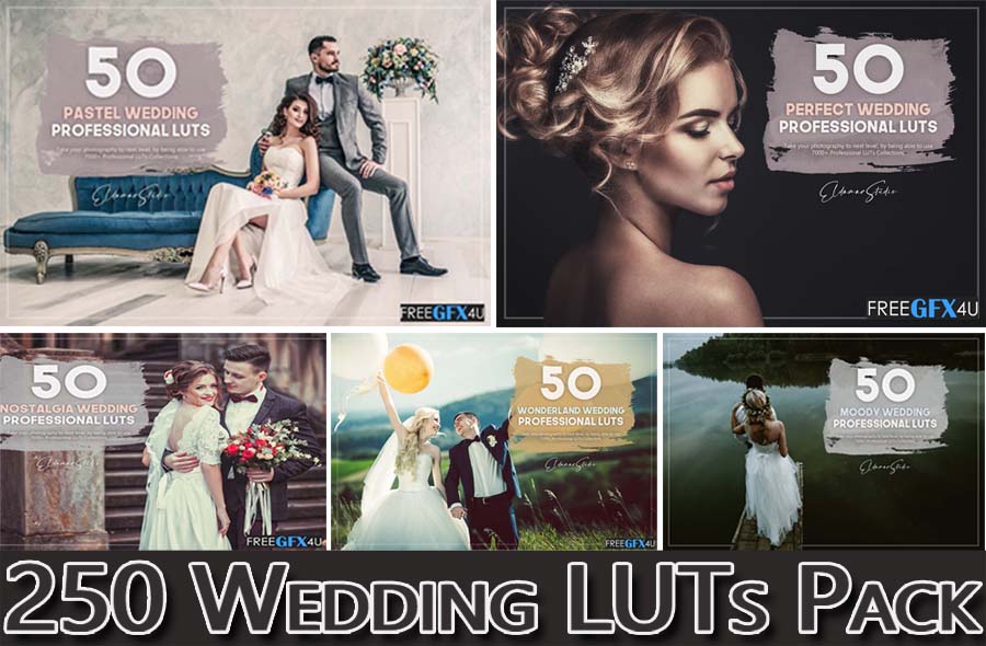 250 Wedding LUTs Pack Download