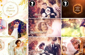 Top 3in1 Videohive - Wedding Slideshow After Effect Projects