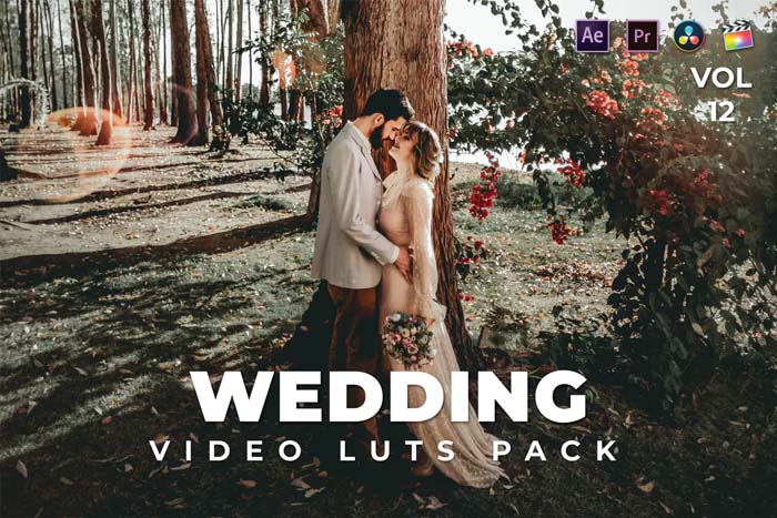 Wedding Pack Video LUTs Vol-12