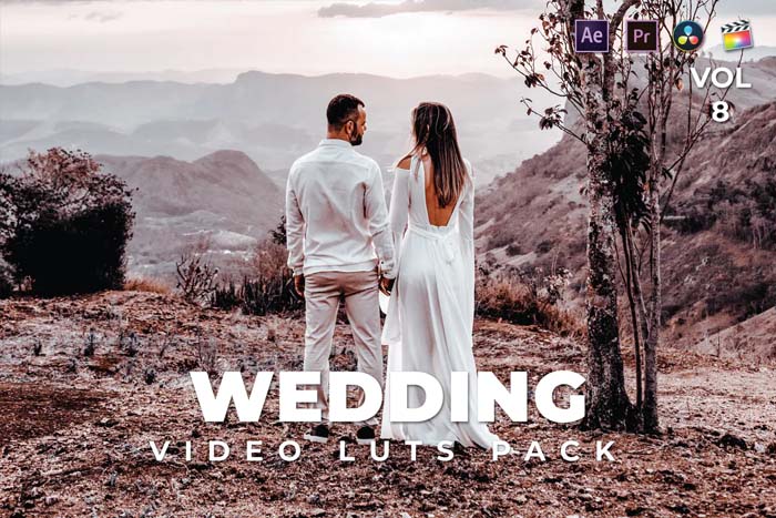 Wedding Pack Video LUTs Vol-8