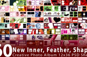 60-New-Inner-Feather-Shapes-Creative-Photo-Album-12x36-PSD-Sheets