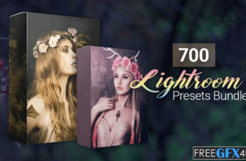 700 Amazing Lightroom Presets Bundle