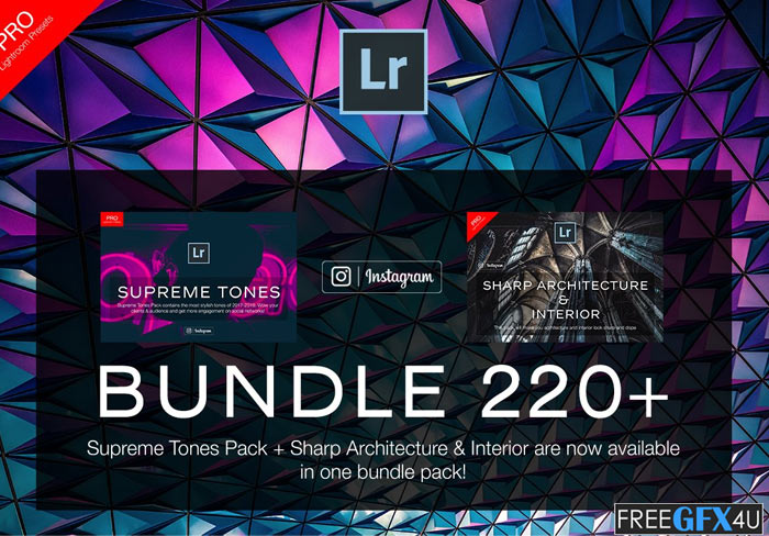 Bundle 220+ Lightroom Presets