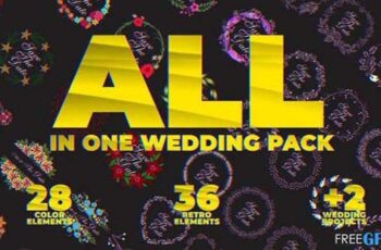 Videohive - All in One Wedding Pack Free Download