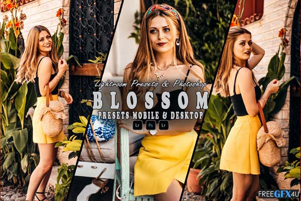 Blossom Action & Lightroom Presets Free Download