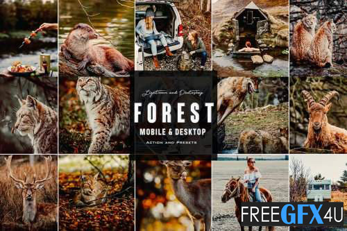 Forest Mood - Photoshop Action & Lightroom Presets