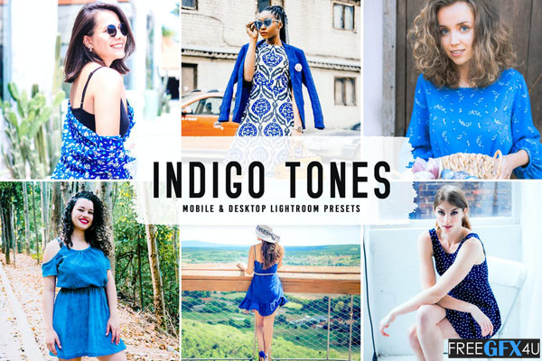 Indigo Tones Pro Lightroom Presets Free Download