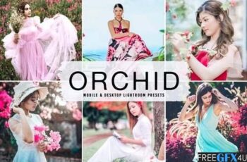 Free Download Orchid Mobile & Desktop Lightroom Presets