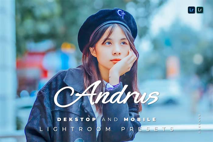 Andrus Desktop And Mobile Lightroom Preset