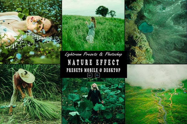 Nature Photoshop Action and Lightroom Presets