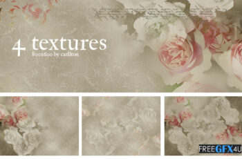 4 PNG Flower Textures