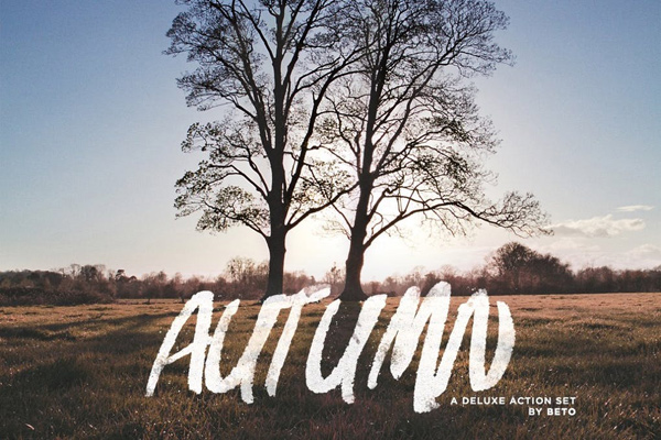 Autumn Photoshop Action