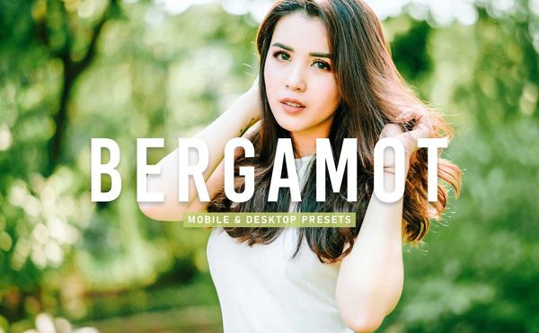 CreativeMarket Bergamot Pro Lightroom Presets