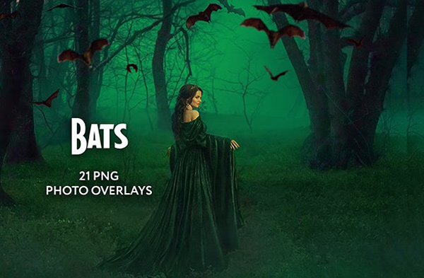 20 Bat Photo Overlays