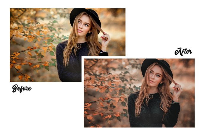 Autumn 15 Premium Presets