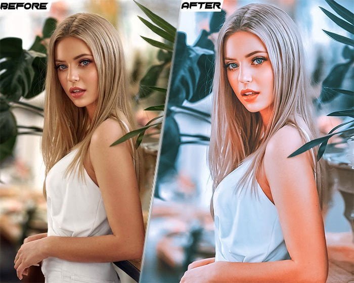 24 Artistic Collection Presets