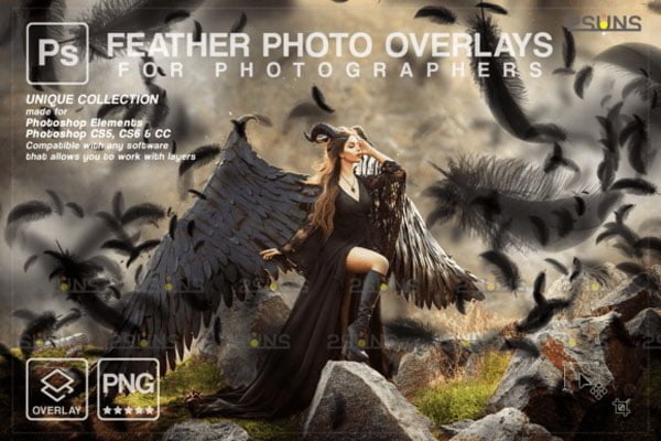 Black Feather Overlay PNG