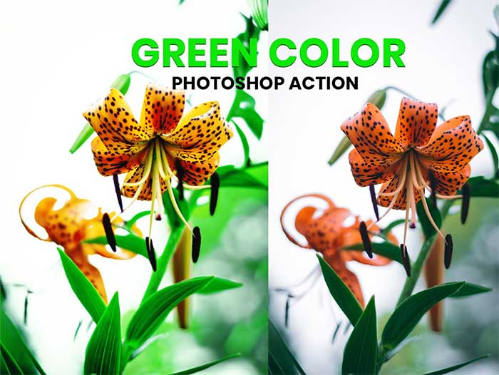 Green Color Photoshop Action
