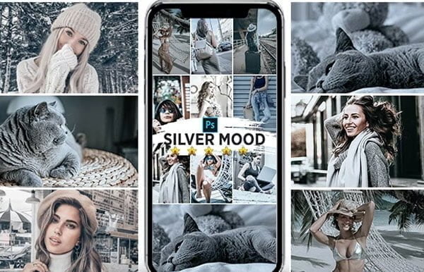Silver Mood Actions