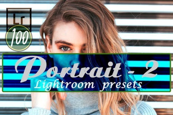 100 Portrait 2 Presets