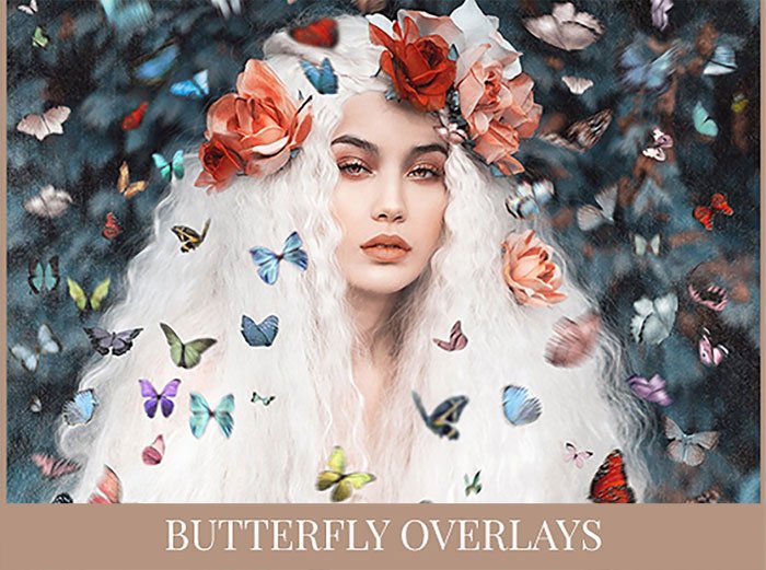 Amanda Diaz Butterfly Overlays Collection