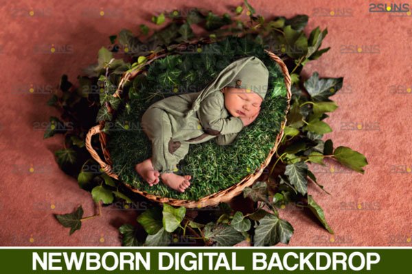 Baby Floral Backdrop Photoshop Overlay