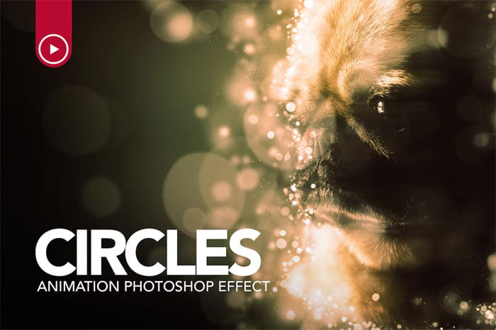 Circles Animation Action