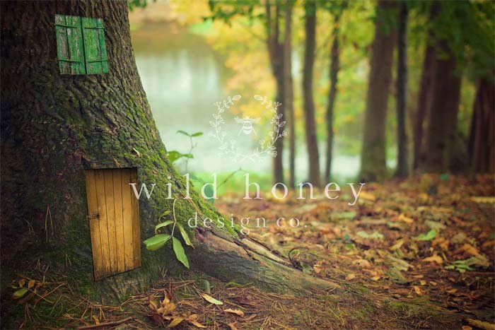 Fairy Door Digital Backdrop