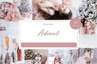 10 x Lightroom Presets Advent Presets