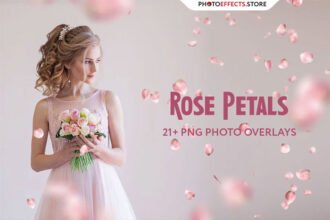 21 Rose Petal Overlays
