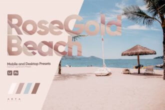 ARTA Rose Gold Beach Presets