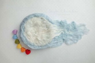 Blue Newborn Baby Girl or Boy Digital Backdrop