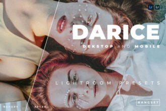 Darice Lightroom Presets