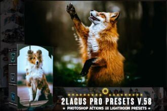 PRO Presets V.58 Lightroom