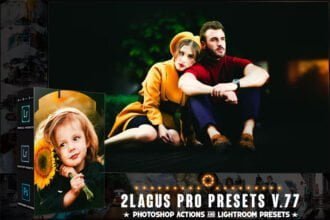 PRO Presets V.77 Lightroom