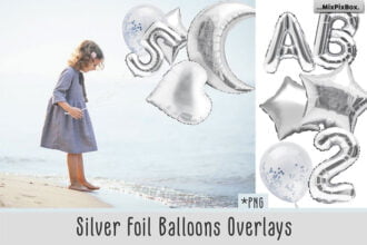 Silver Foil Balloons Photo Overlays (1)