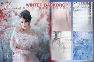 Winter Digital Backdrops Fine Art