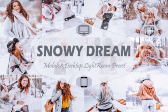 10 Snowy Dream Mobile & Desktop Lightroom