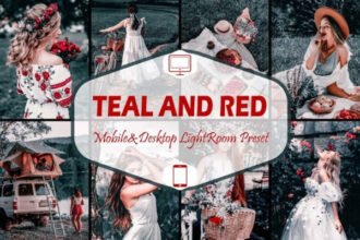 10 Teal and Red Presets