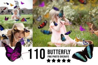 110 ButterflyOverlay