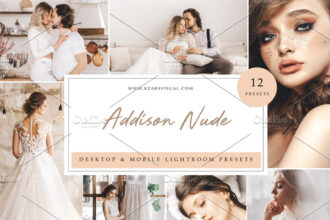 12 x Presets Addison Nude