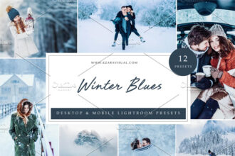 12 x Presets Winter Blues