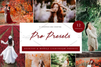 12x Presets Pro Presets