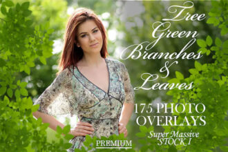 175 Tree Green Branches