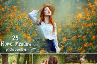 25 Flower Meadow Overlays